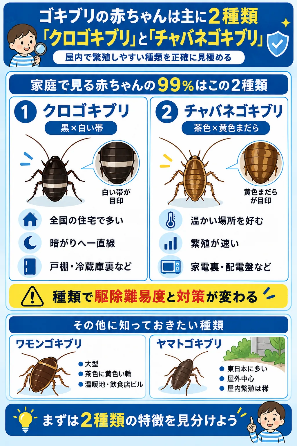 ゴキブリの赤ちゃんは主に2種類｜クロゴキブリとチャバネゴキブリの見分け方