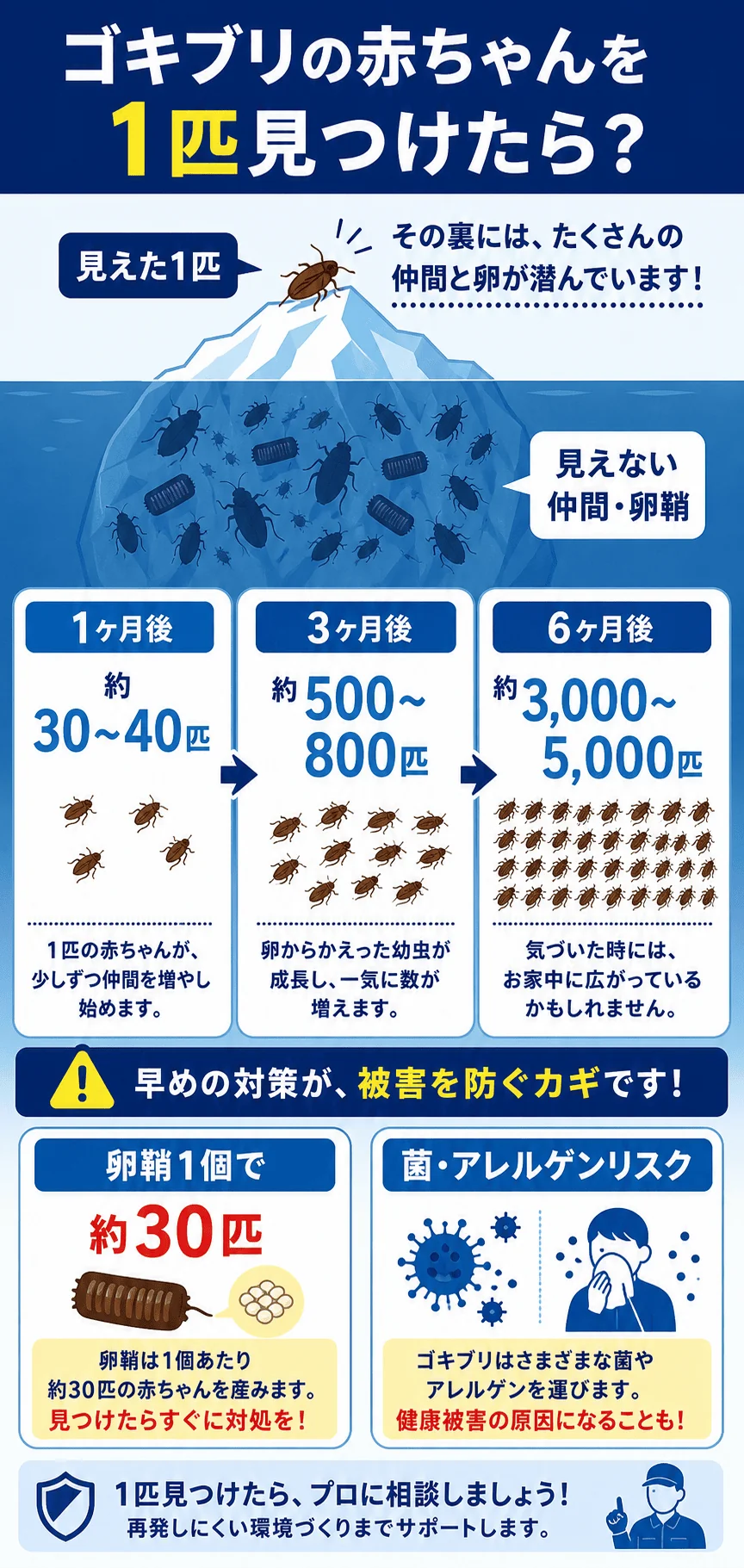1匹見つけたら何匹いる？放置NGの理由