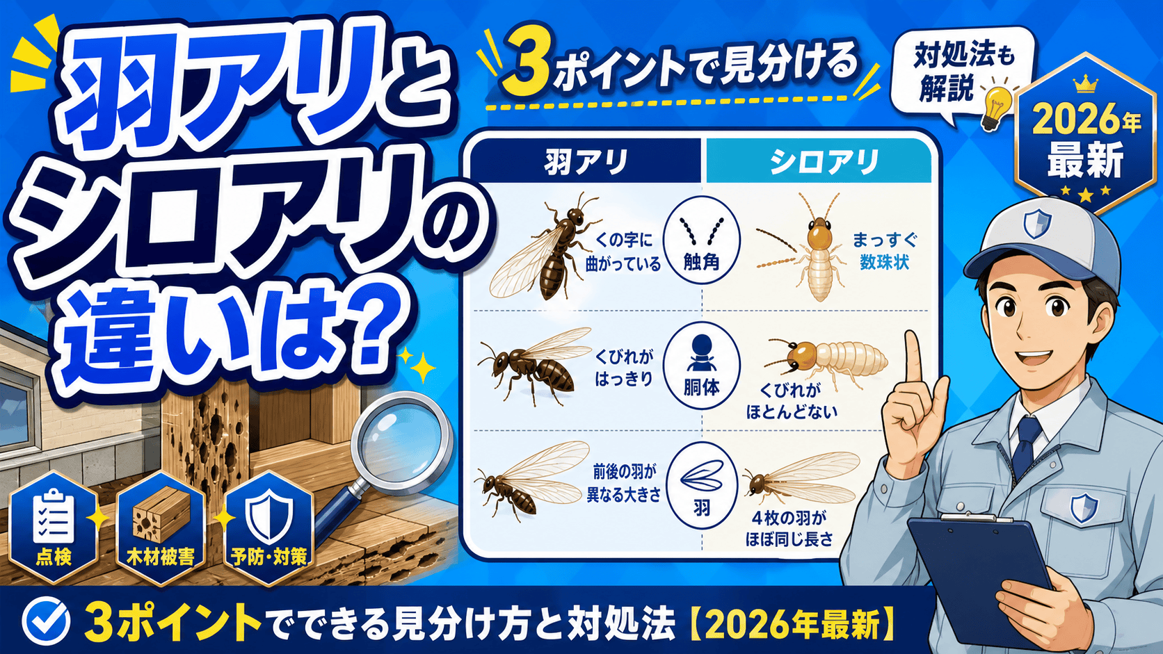 羽アリとシロアリの違いは？3ポイントでできる見分け方と対処法【2026年最新】