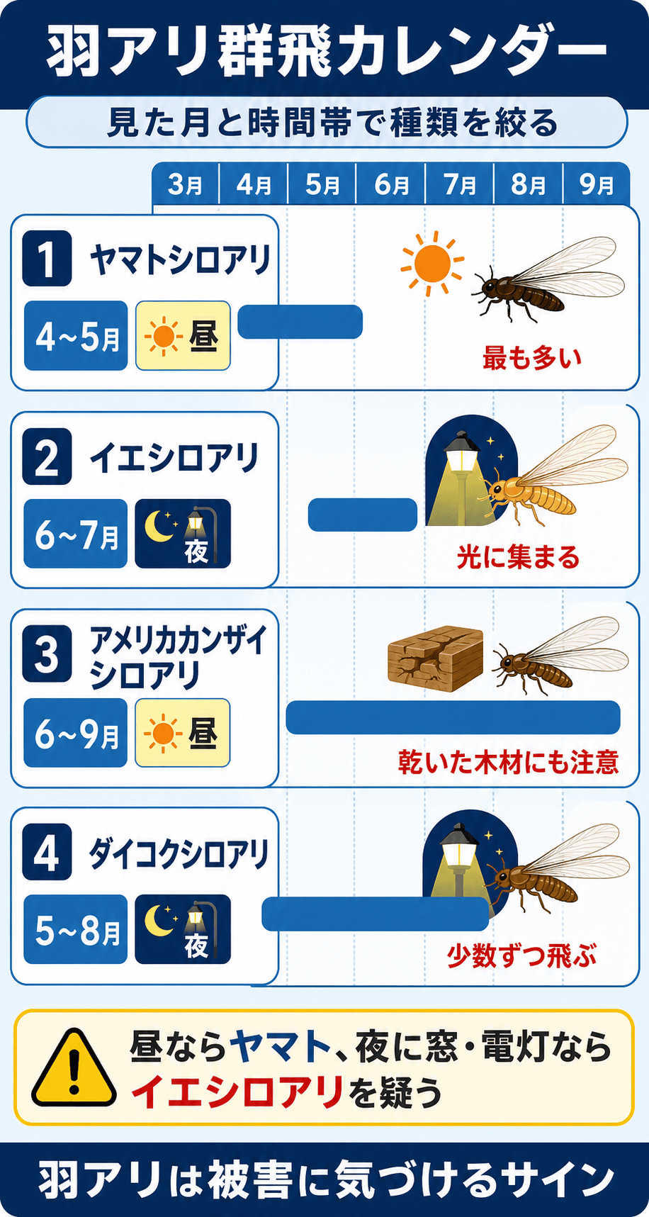 羽アリ群飛カレンダー｜見た月と時間帯で種類を絞る