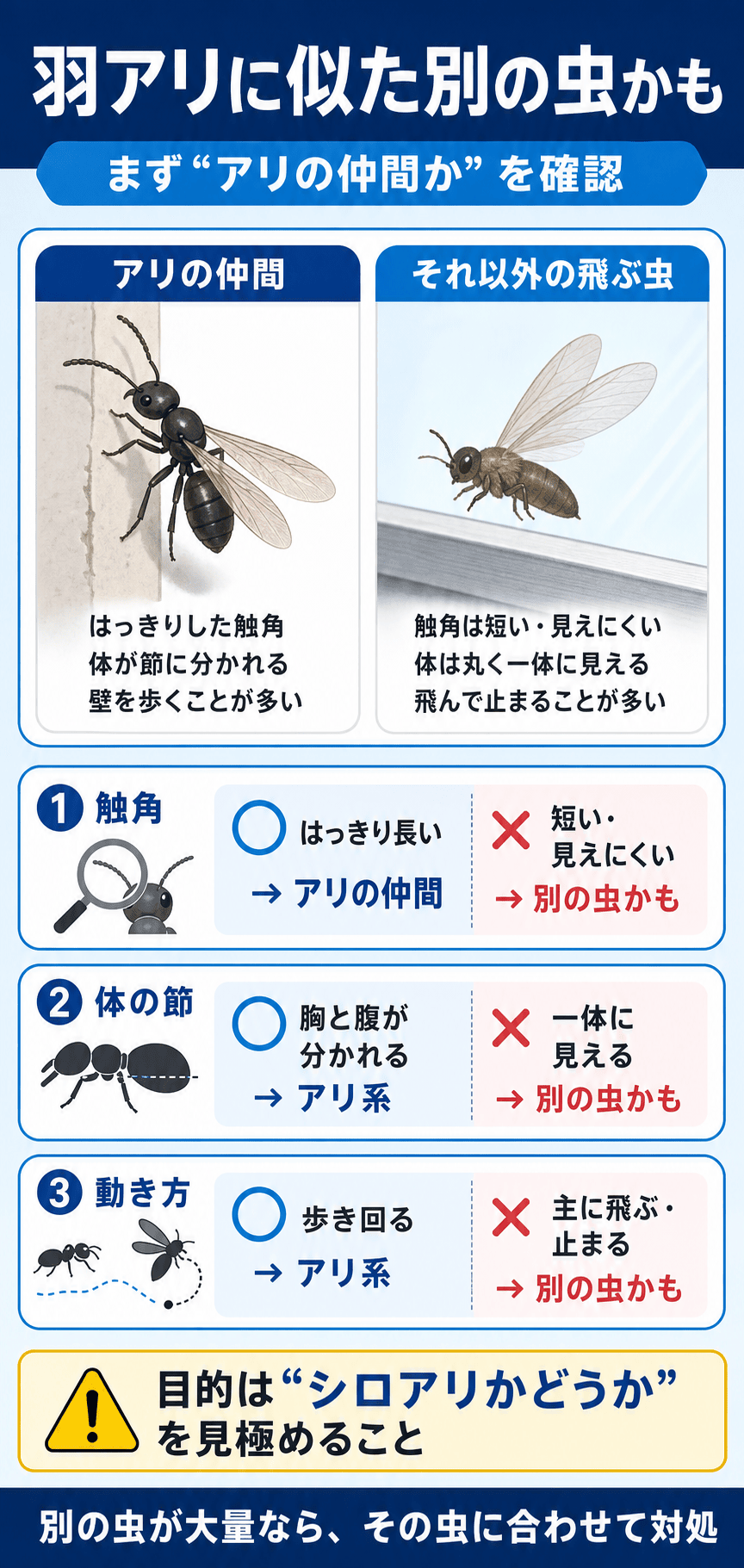 羽アリに似ている別の虫との判別