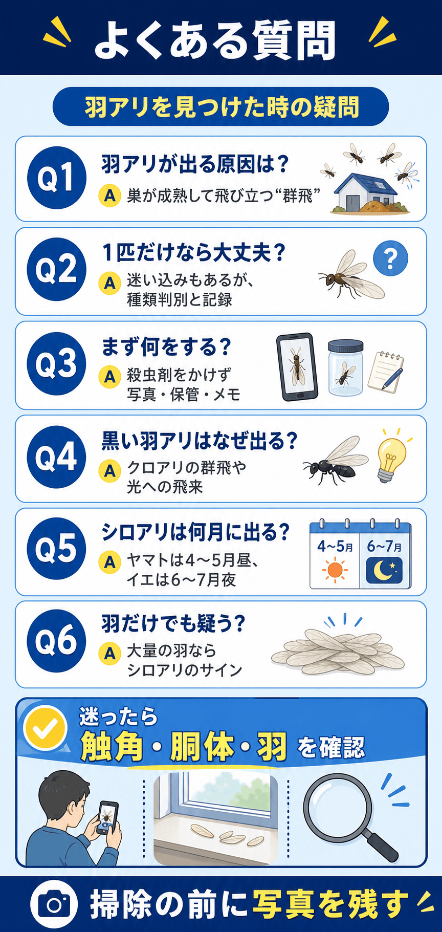 羽アリとシロアリの違いに関するよくある質問