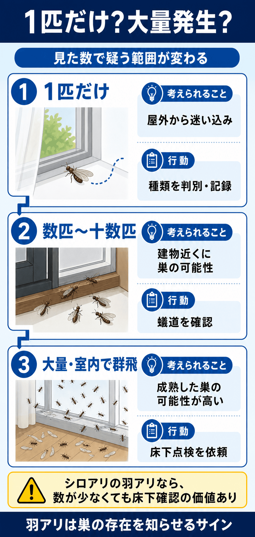 羽アリが1匹だけの場合と大量発生の場合の意味の違い