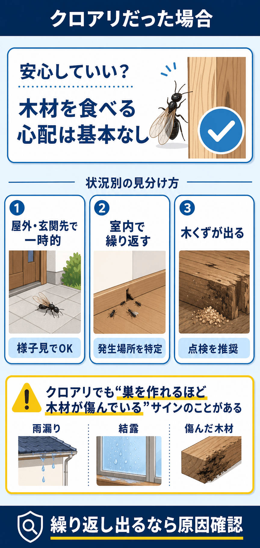 クロアリだった場合｜家の中に出る理由