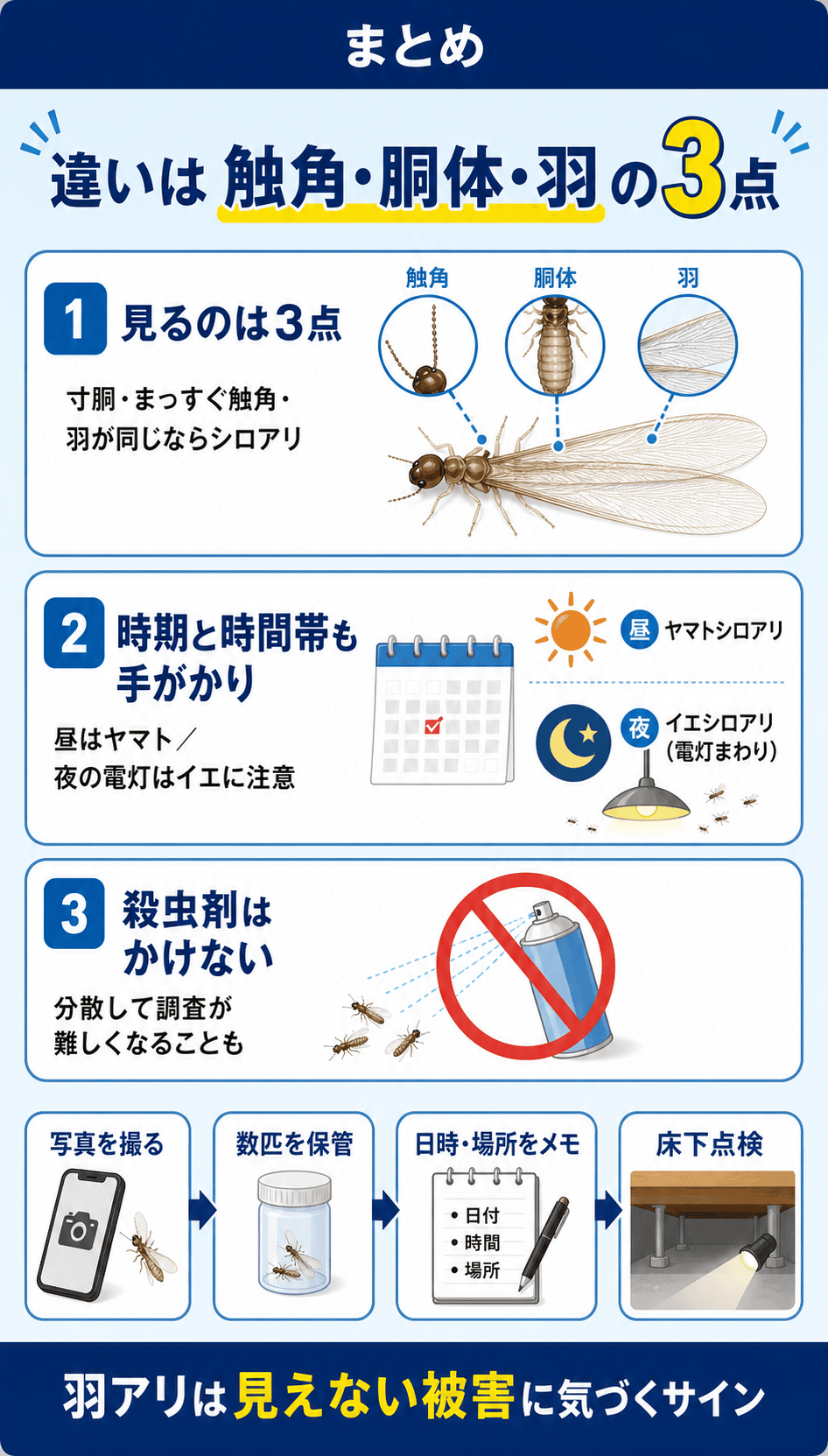 まとめ｜羽アリとシロアリの違いは3点で見分けられる