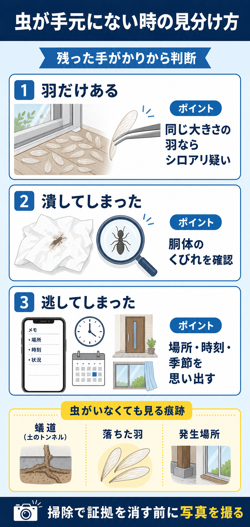 虫が手元にないときの見分け方｜羽だけ・潰した・逃した場合