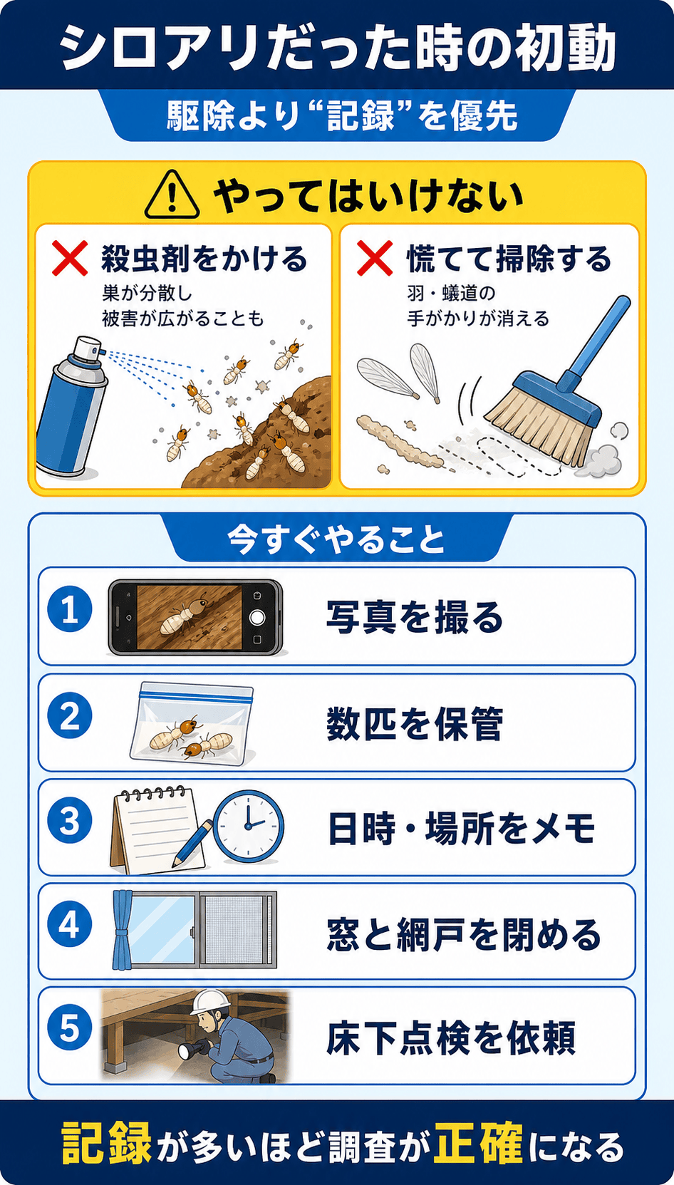 シロアリだった場合にやること・やってはいけないこと