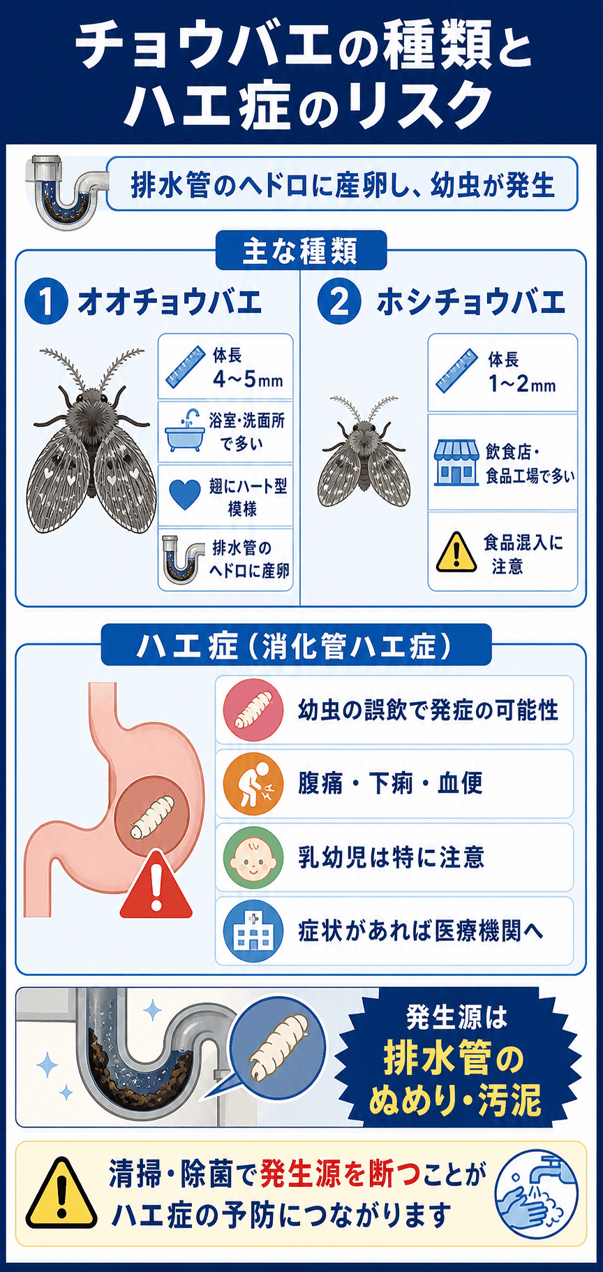 チョウバエの種類とハエ症のリスク