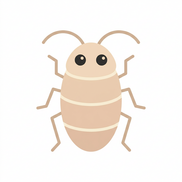 ゴキブリの写真