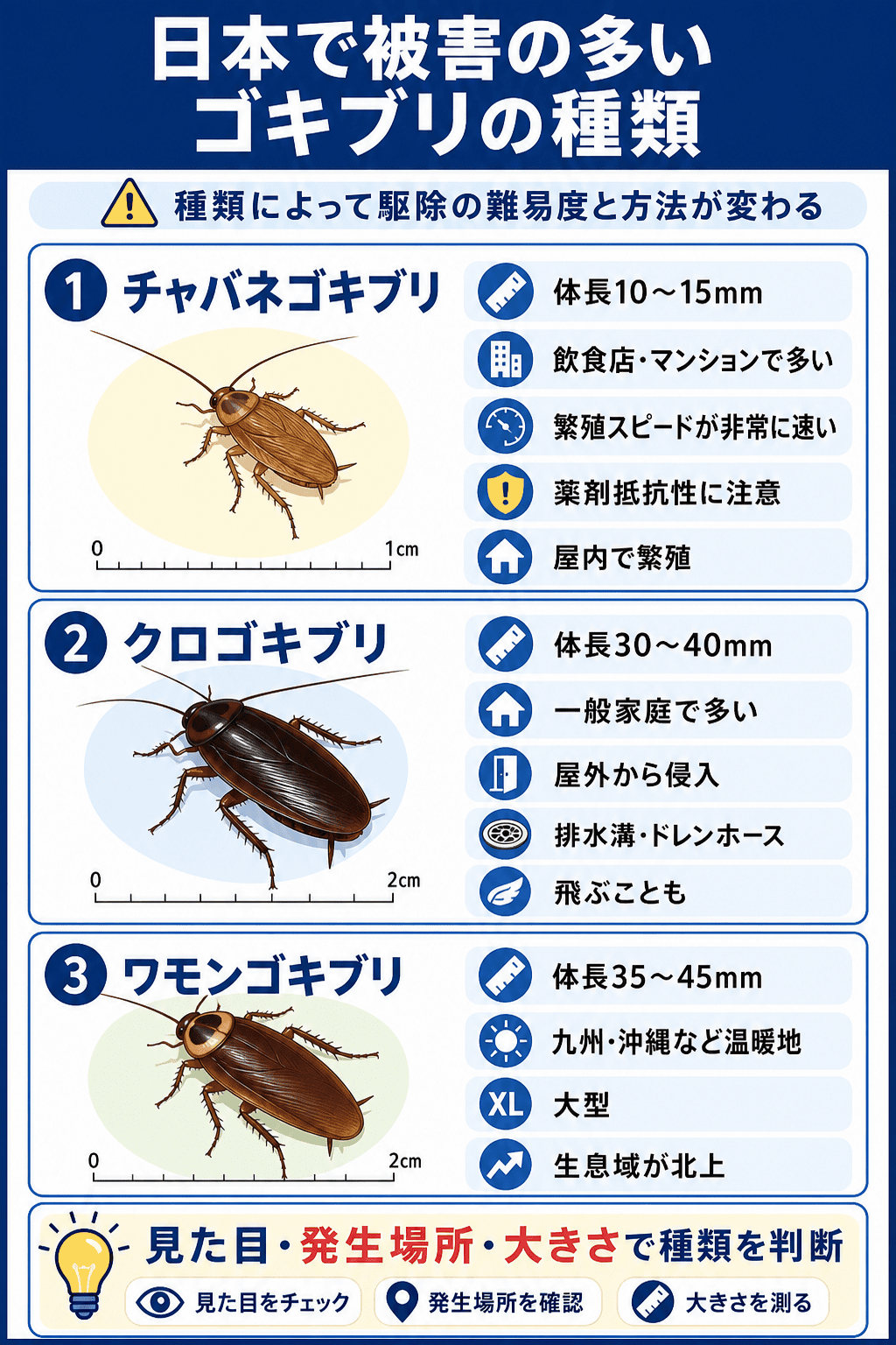 日本で被害の多いゴキブリの種類