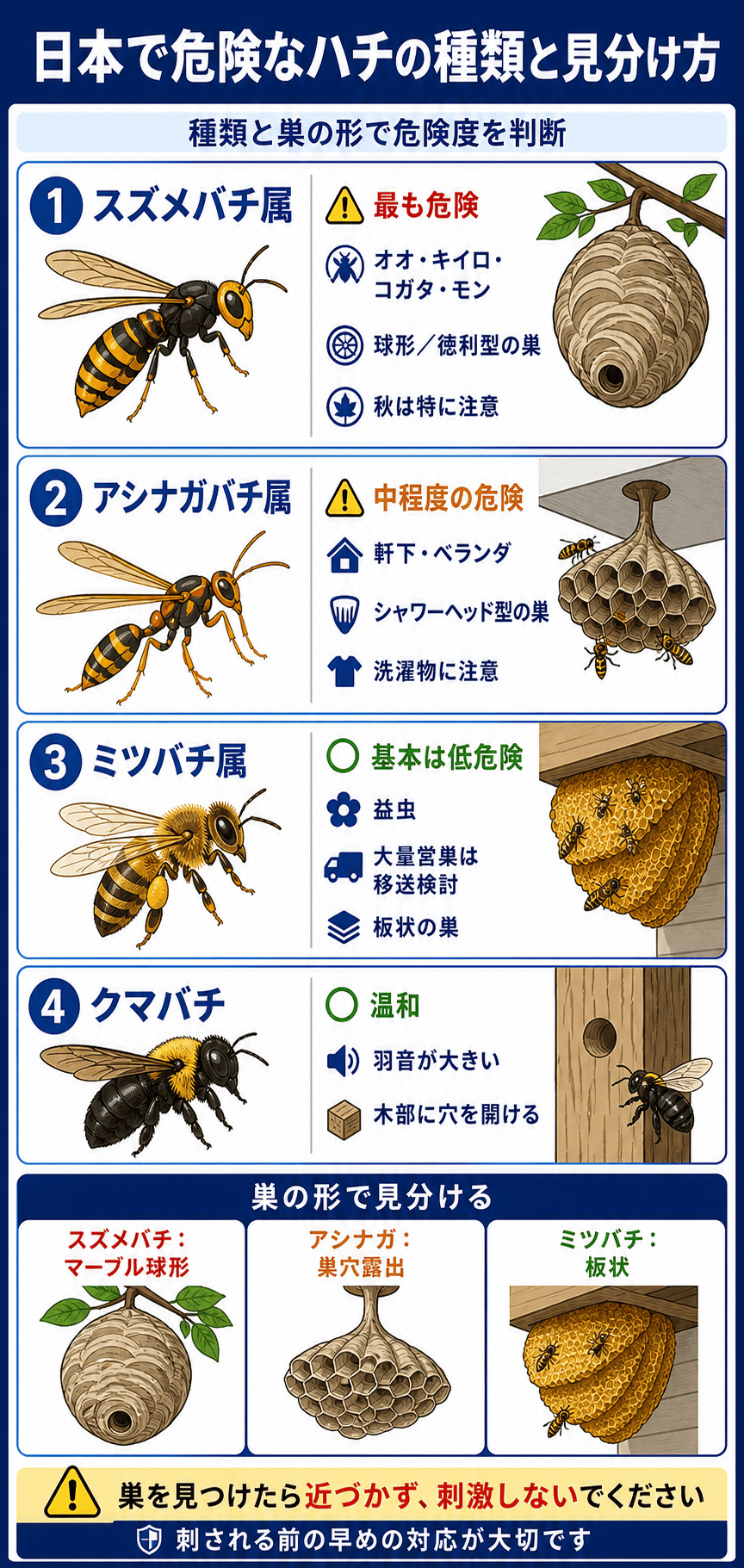日本で危険なハチの種類と見分け方