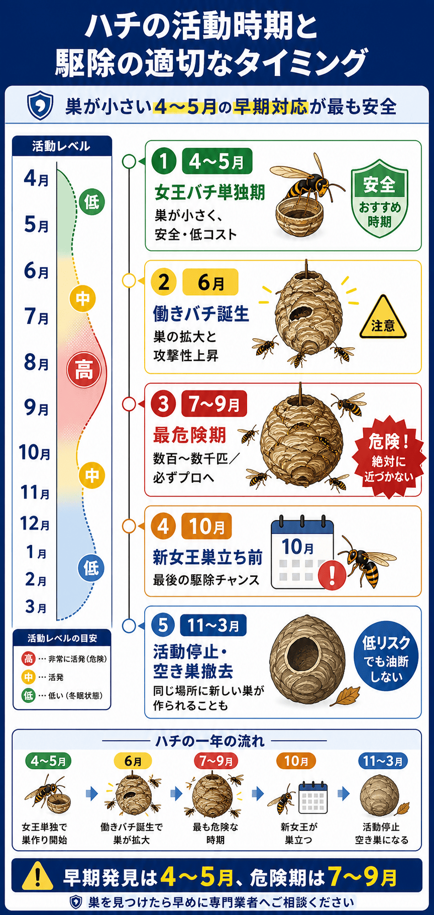 ハチの活動時期と駆除の適切なタイミング