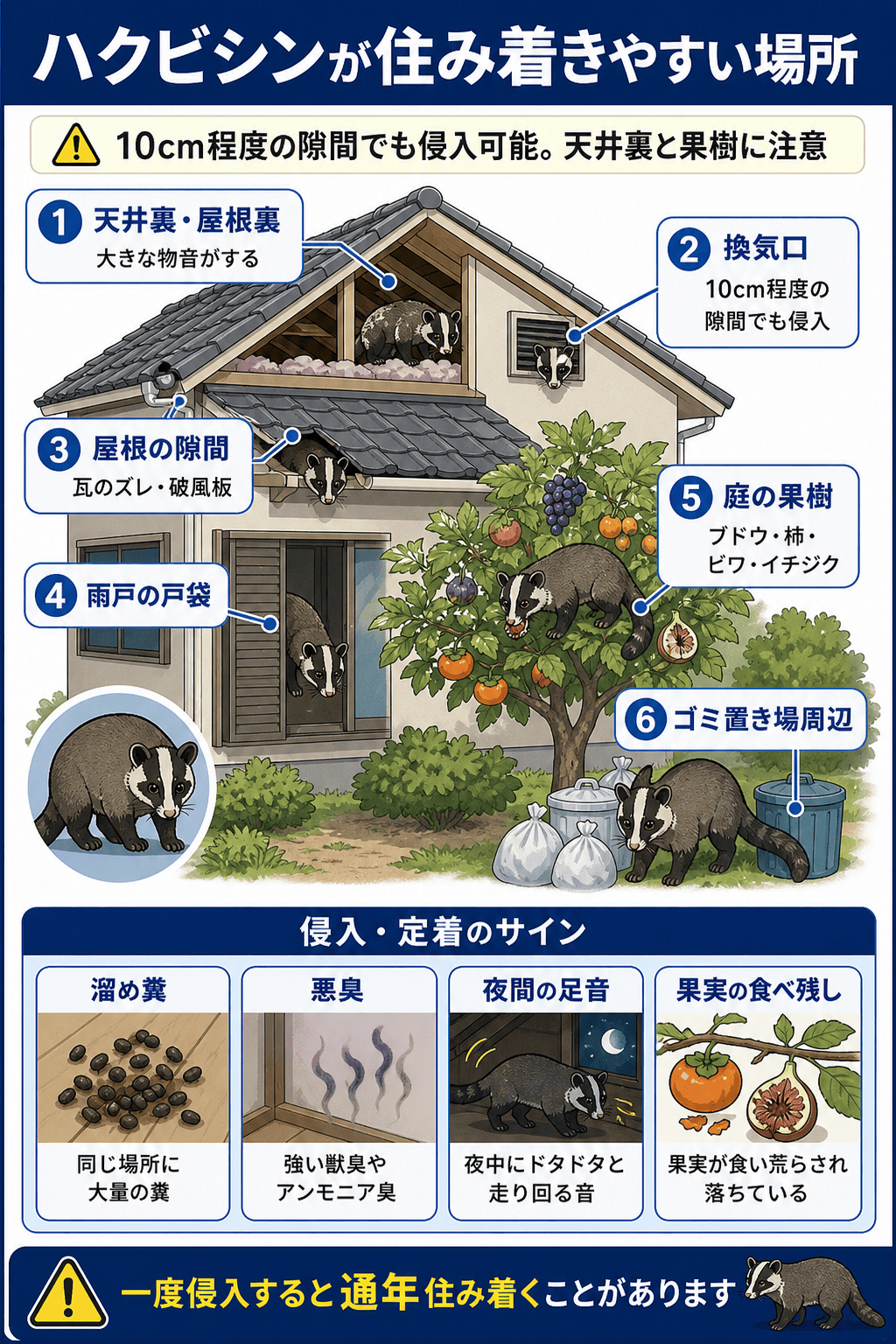ハクビシンが住み着きやすい場所
