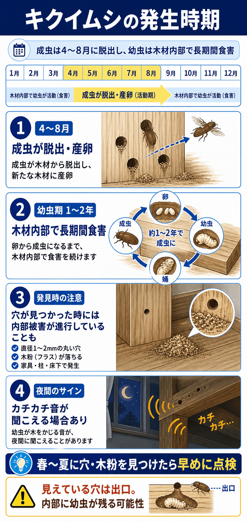 キクイムシの発生時期