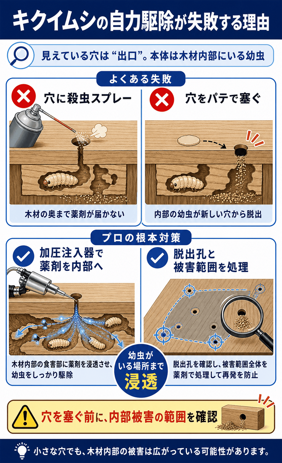 キクイムシの自力駆除が失敗する理由