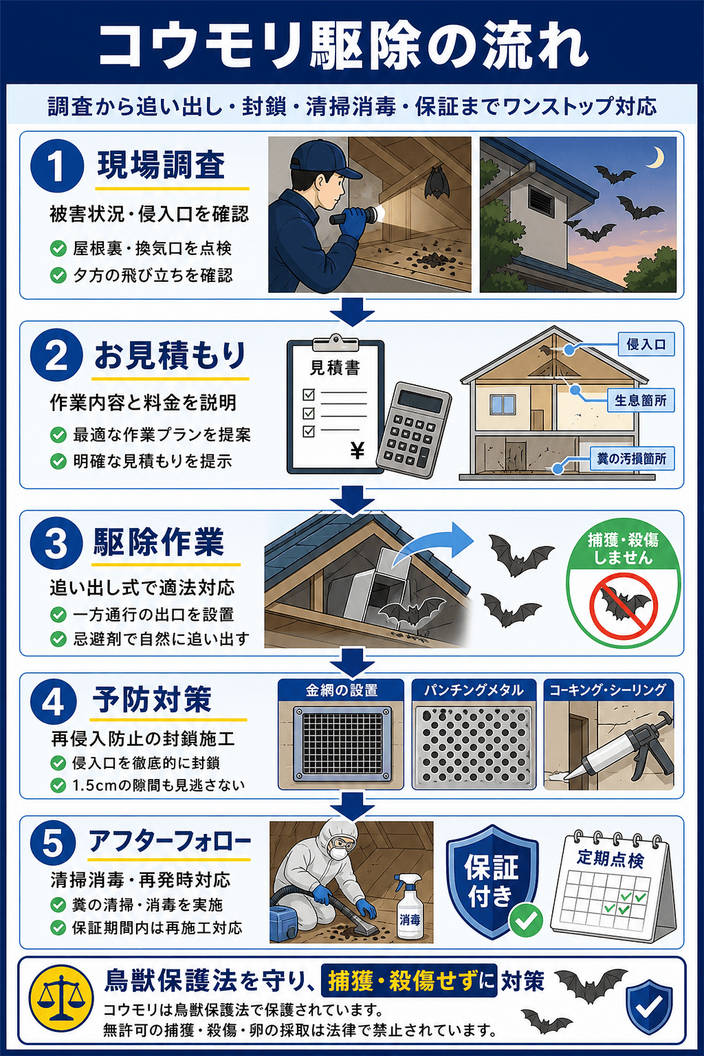 コウモリ駆除の流れ