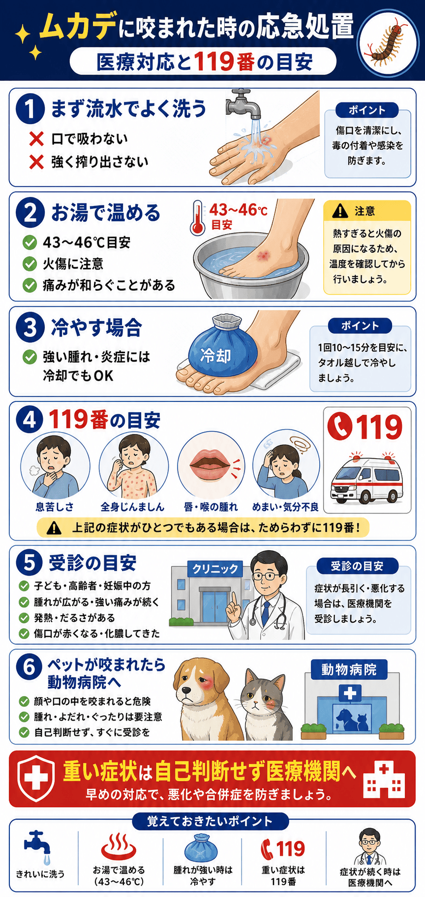 咬まれた時の応急処置と医療対応