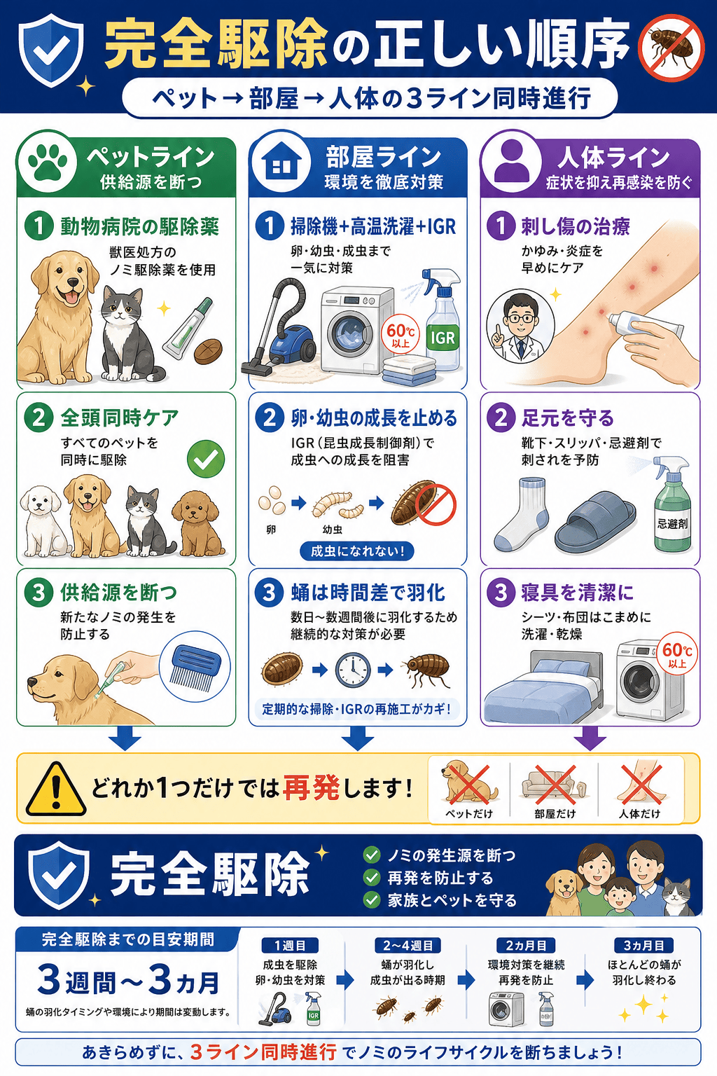 完全駆除の正しい順序｜ペット→部屋→人体の3ライン同時進行