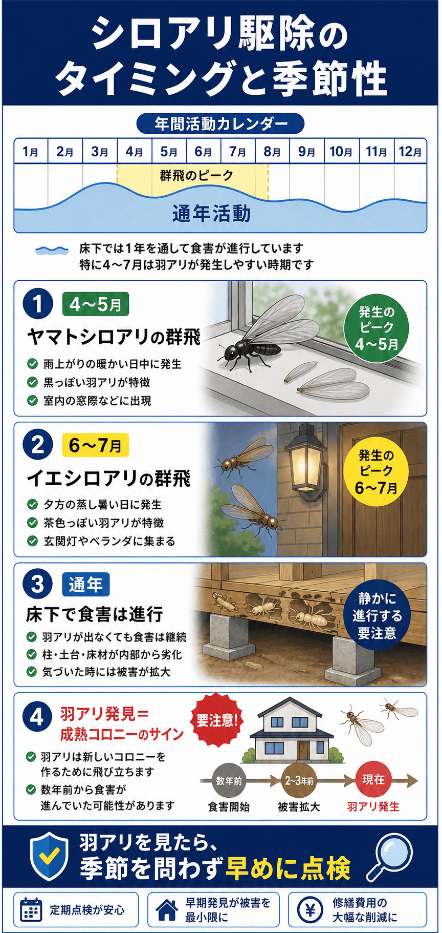シロアリ駆除のタイミングと季節性